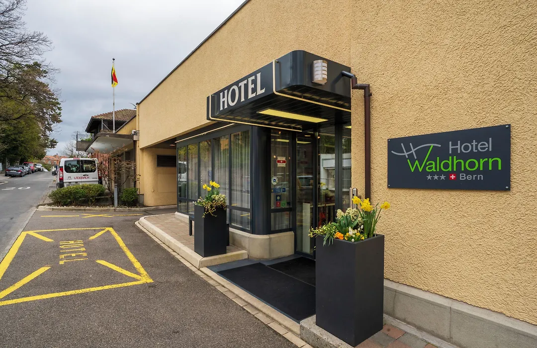 Hotel Waldhorn-1